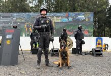 AGRUPAMIENTO FUERZA DE TAREA DE LA SSC, REAFIRMA SU COMPROMISO Y ENTREGA CON LA POBLACIÓN DE LA CIUDAD DE MÉXICO