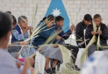 LA SECRETARÍA DE CULTURA DEL GOBIERNO DE MÉXICO INICIA CAPACITACIONES DEL PLAN DE ATENCIÓN A ARTESANAS Y ARTESANOS EN LA MIXTECA OAXAQUEÑA