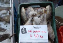 Profeco concluye operativo “Cuaresma y Semana Santa 2026” con 11 sellos de suspensión en diversos establecimientos