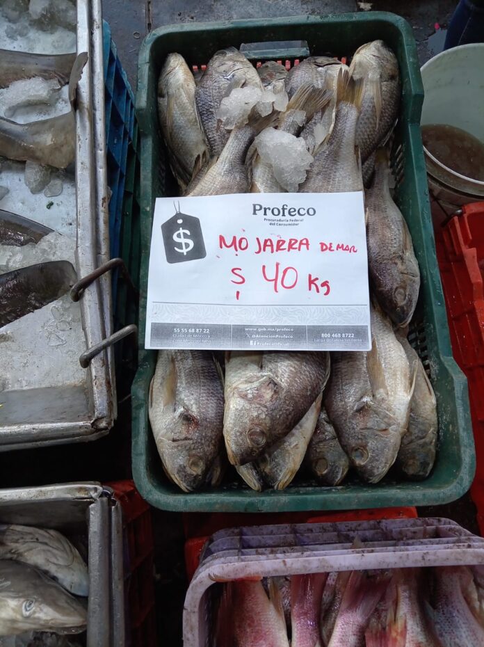 PHOTO-2026-04-12-10-42-44