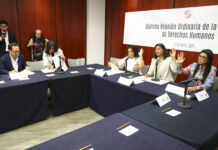 Aprueba Comisión de Derechos Humanos reformas a la Ley de la CNDH en materia de lenguaje inclusivo