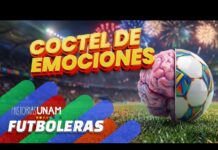 ¿Eres fan? ¿Sabes qué pasa en tu cerebro al ver el Mundial?