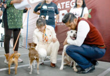 Gobierno de Nezahualcóyotl se suma a la estrategia CERA por el bienestar animal