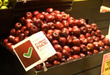 Profeco informa beneficios nutricionales de la manzana y sus precios mínimos y máximos