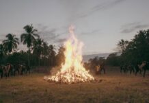 LA CINETECA NACIONAL CHAPULTEPEC PRESENTA NUEVAS PROPUESTAS CINEMATOGRÁFICAS