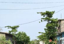 Gobierno de Oaxaca activa protocolo de atención tras tormenta registrada en San Francisco Ixhuatán