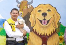 CENTRO DE BIENESTAR ANIMAL, EJEMPLO NACIONAL DE PROTECCIÓN Y CUIDADO A SERES SINTIENTES