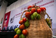 Justicia para el campo: Gobierno de México y sector privado firman Acuerdo Nacional para el precio justo del jitomate