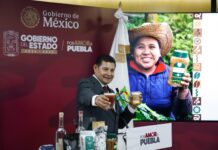 PUEBLA PRIMER LUGAR NACIONAL EN PRODUCTIVIDAD CAFETALERA RUMBO AL CONCAFÈ 2026