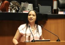 México llega a la revisión del T-MEC como socio serio y confiable: Liz Sánchez