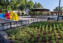 RENUEVA COYOACÁN SUS JARDINES DEL CENTRO HISTÓRICO
