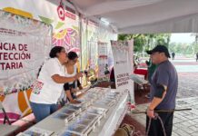 A una semana del Mundial, la Secretaría de Salud Pública de la CDMX ha brindado más de 82 mil 500 servicios