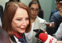 Homologación del tipo penal y perspectiva de género, puntos clave para combatir el feminicidio: Laura Itzel Castillo