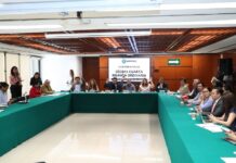 La Comisión de Salud aprobó dictamen que elimina la Naloxona del listado de sustancias psicotrópicas