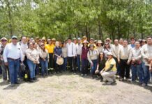 Reiteran Gobiernos de Oaxaca y México compromiso para fortalecer acciones de reforestación en Oaxaca