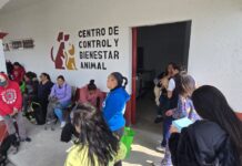 Impulso histórico al bienestar animal en Toluca con Extensión Norte: Ricardo Moreno