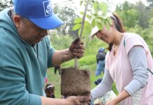 EL GOBIERNO DE NAUCALPAN Y LA INICIATIVA PRIVADA LLEVAN A CABO UNA JORNADA DE REFORESTACIÓN EN EL PARQUE LA HOJA