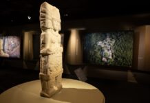 Tlachtli: el juego sagrado que dio origen a la pasión por la pelota