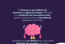 Día Internacional del TDAH: Especialistas llaman a transformar el trastorno en una oportunidad de éxito y genialidad