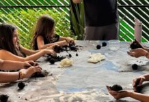 LA SAPS OFRECERÁ EL TALLER EXPLOSIÓN VEGETAL PARA REFLEXIONAR SOBRE LA BIODIVERSIDAD
