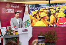 Rescate del Izta-Popo impulsa reforestación nacional con apoyo de la Presidenta Sheinbaum