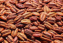 La Secretaría de Economía buscará evitar cuotas compensatorias a las exportaciones mexicanas de nueces pecanas a China