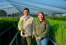 Con compromiso sustentable, Oaxaca hará equipo en la Jornada Nacional de Reforestación 2026