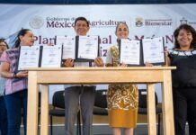 Con entrega de recursos, fortalece Claudia Sheinbaum política de Salomón Jara para protección del maíz nativo en Oaxaca