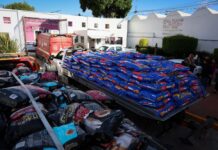 NAUCALPAN SE SUMA AL PROGRAMA CROQUETMANÍA CON MÁS DE 9 TONELADAS DE ALIMENTO PARA MICHIS Y LOMITOS RESCATADOS DE MALTRATO