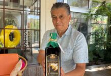 Después de 50 años de pintar, José Luis Bustamante cambia el lenguaje