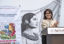 Impulsan el café de especialidad y el comercio directo con la Convención del Café Oaxaqueño 2026