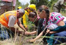 Presidenta Claudia Sheinbaum encabeza inicio de la Jornada Nacional de Reforestación 2026