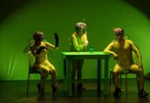 CINE Z LLEGA AL FORO LA GRUTA CON UNA REFLEXIÓN CÓMICA SOBRE LA DIGITALIDAD Y LO HUMANO