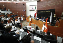 Exhiben implicaciones deportivas y laborales de cancelar el ascenso y descenso en el fútbol mexicano