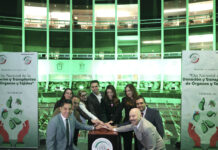 Llaman a fortalecer mecanismos legales e información para garantizar la donación de órganos