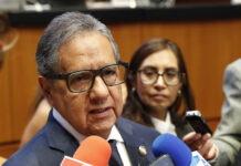 Reformas sobre doble nacionalidad podrían discutirse en el Pleno el próximo martes: Higinio Martínez