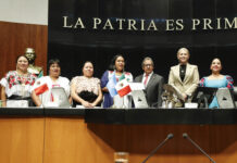 Aprueba el Senado la Ley General en Materia de Bienestar, Cuidado y Protección de los Animales