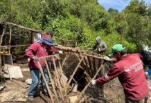SEDEMA protege 32 hectáreas de suelo de conservación en La Magdalena Contreras