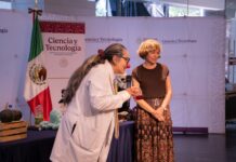 Secihti celebra Día Internacional de la Cultura Científica: acerca la ciencia y las humanidades a las infancias