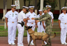 La Secretaría de Marina reconoce la trayectoria del elemento canino “Hermes” tras concluir su servicio activo en la Armada de México