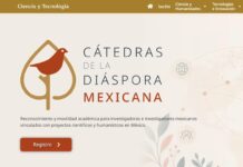 Cátedras de la Diáspora aprueba 556 científicos mexicanos de 37 países para vincularse con instituciones públicas: Secihti