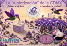 La ajolotización del IECM