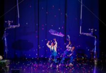 MÉXICO EN ESCENA–GRUPOS ARTÍSTICOS 2026 SELECCIONA 56 COMPAÑÍAS DE ARTES ESCÉNICAS