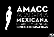 LO MEJOR DEL ARIEL: NOMINADAS Y GANADORAS POR MX NUESTRO CINE