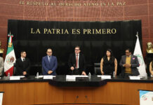 Especialistas piden reconocer a la optometría de manera plena en el sistema de salud pública