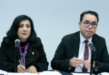 Comparecerá secretaria de Energía, Luz Elena González Escobar, el 12 de noviembre