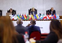 Verónica Camino expone en Chile programas de México contra las causas de la migración
