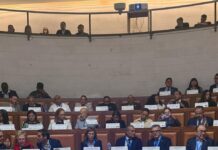 Aprueban la creación de la Comisión del Derecho de Autor y Propiedad Intelectual de AICO
