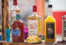El motor mezcalero de México: Oaxaca lidera la producción y exportación global del destilado ancestral.