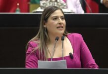 Plantean incorporar en la Constitución Política el reconocimiento a la comunidad mexicana migrante